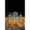 Ωmega Wooden Clock with 8 Houses Turquoise