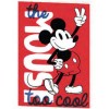 Pyramid Mickey Mouse - Too Cool A5 Exercise Book